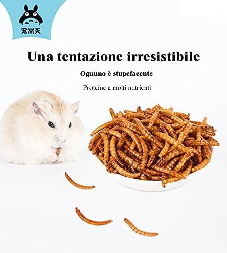 Food for Hamsters, Hedgehogs, Lizards, Frogs, Birds, Hedgehogs, Snacks, Nutritious, high Protein, Cooked breadworms, Small Animal Food
