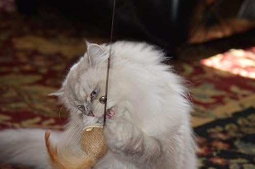 Cat Kitten Teaser Wand Toys, Sisal with Mouse, Bell, Feather, Elastic String, Sturdy Wood Stick, Interactive Fun, Cat Catcher Mice for Pet, Set of 3