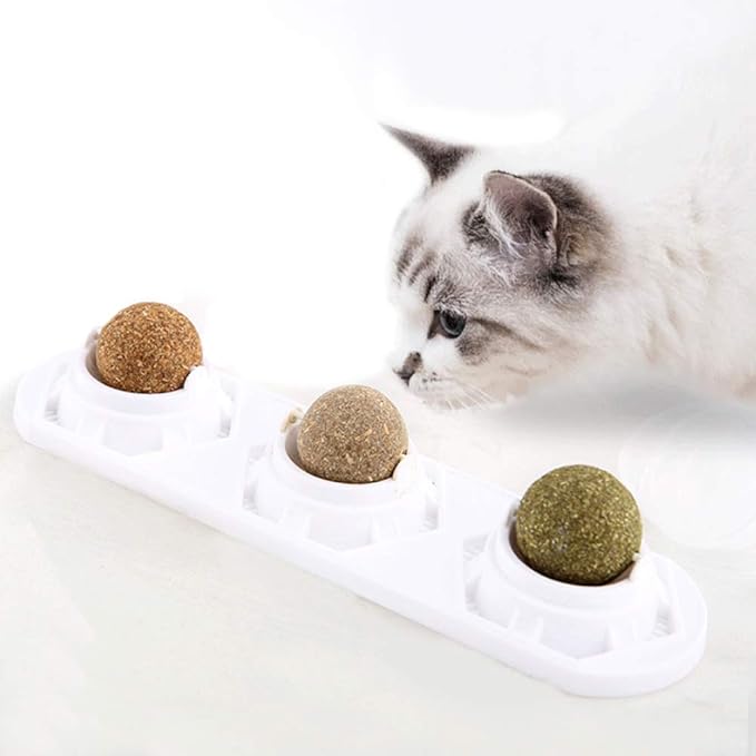 Catnip Wall Ball Toys – Rotatable Cat Snack Edible Balls with Natural Healthy Catnip | Silvervine | Gall Nut, Kitten Playing Chewing Cleaning Teeth Toy