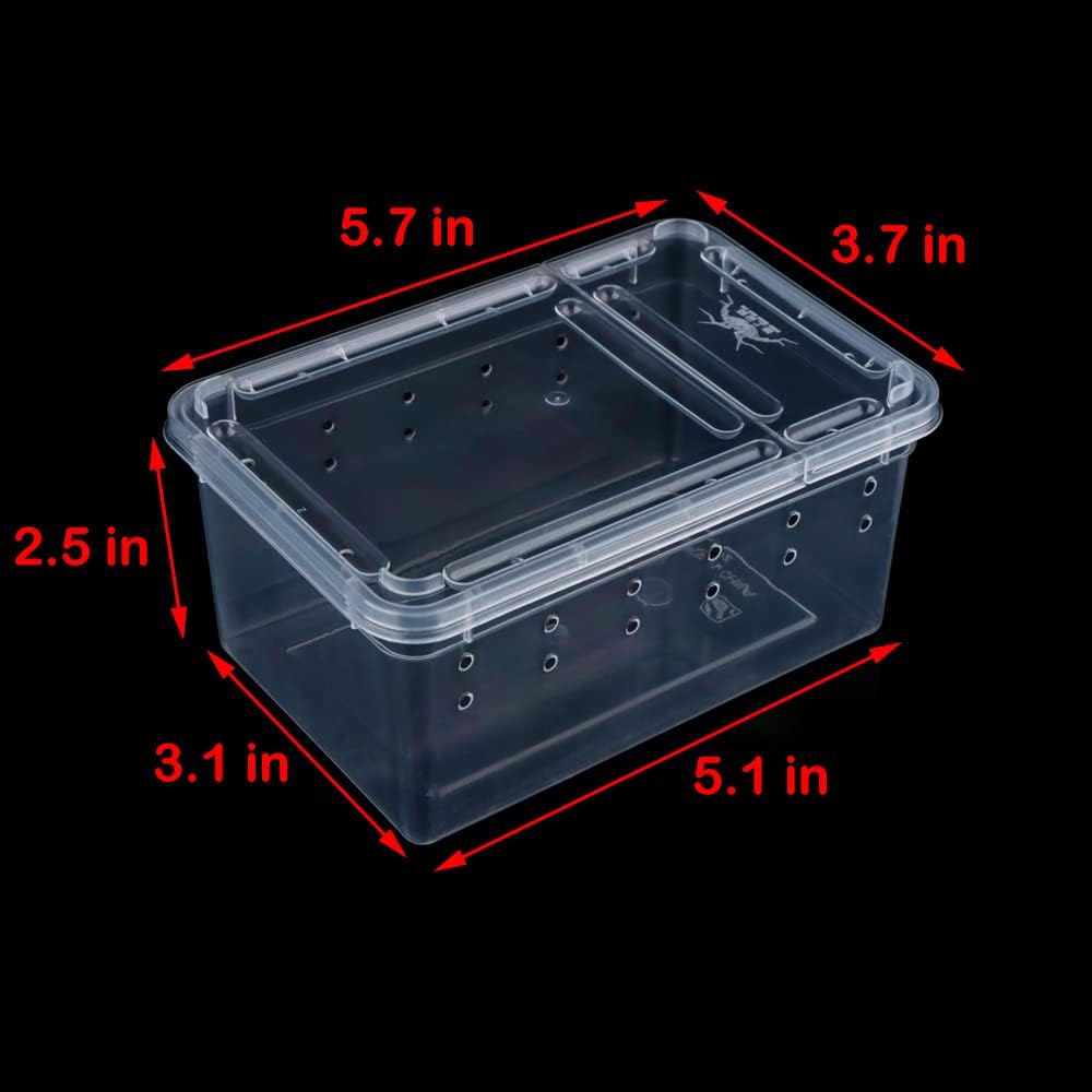 5 Pcs Spider Small Terrariums Breeding Box Transparent Hatching Container Plastic Feeding Box for Small Reptile Spider Scorpion Centipede Insect