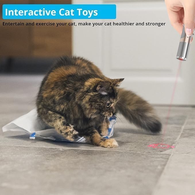 Cat Toy, 2 Pieces USB Rechargeable, Long Range 5 Modes, Interactive Kitten Cat Mouse Toy for Indoor Cat and Dog Chase Play