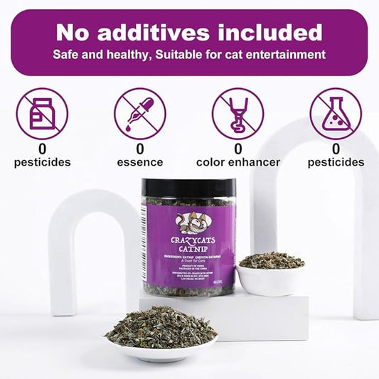 Organic Natural Catnip Cattle Grass Mint Taste Funny Cat Toy New Cat Toy Interactive Cat Toys Pet Supplies