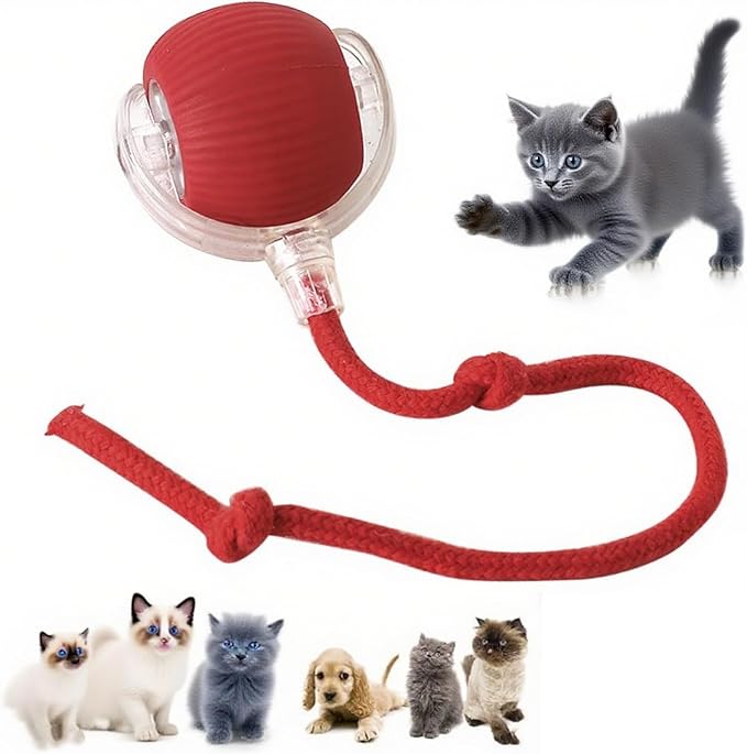 360° Smart Automatic Rolling Pet Ball - Interactive Dog & Cat Toy for Indoor Cats & Kittens (Red)