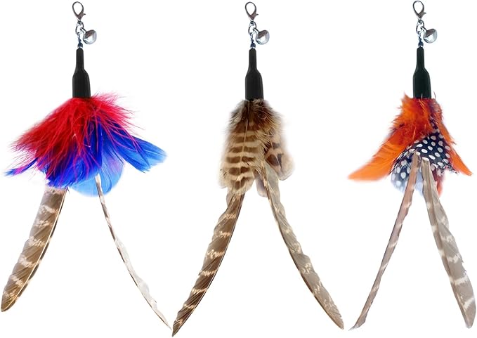 TTcat Cat Feather Toy Replacement Wand Refills, 10 Pcs Simulation Insects Bird Feathers