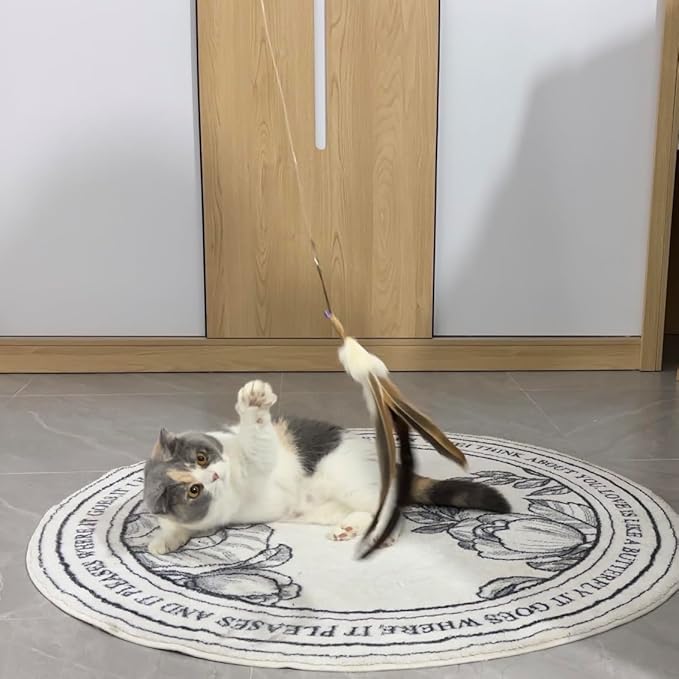 Replacement Strings for Cat Wand Toy - 3 Pieces - Nylon Wire and 2 Durable Paracord Strings - Kitten Wand Toy Refill Wires with Lobster Clasps for All Lures, Cat Stick