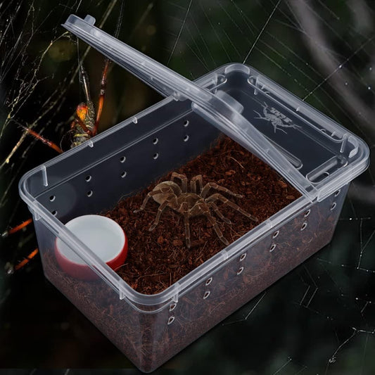 5 Pcs Spider Small Terrariums Breeding Box Transparent Hatching Container Plastic Feeding Box for Small Reptile Spider Scorpion Centipede Insect