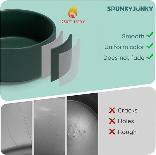 SPUNKYJUNKY 42OZ Ceramic Dog and Cat Bowl, Modern Cute Weighted Food Water Bowl for Replacement Green (2 Pack)