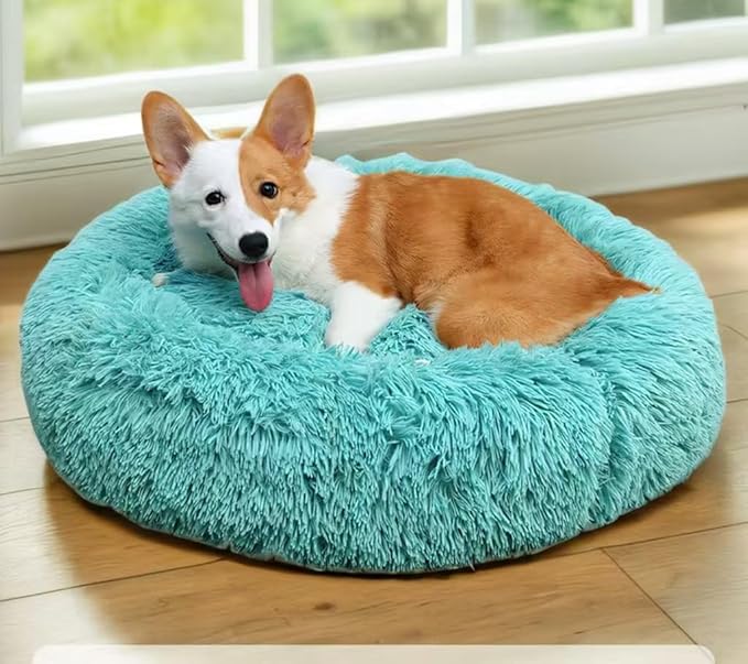 Cat Beds for Indoor Cats - Cat Bed Washable 20/24 inches, Dog Beds for Small Medium Dogs, Anti Anxiety Round Fluffy Plush Faux Fur Pet Bed, Thick Bottom (Blue, Large 24" L x 24" W)