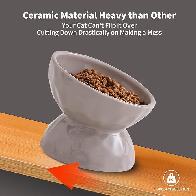 AOMRYOM Raised Cat Food Bowl, Ceramic Elevated Tilted Cat Bowls for Food and Water, Pet Bowl Dish Set for Cats and Small Dogs, Protect Cat's Spine, White & Grey, Set of 2