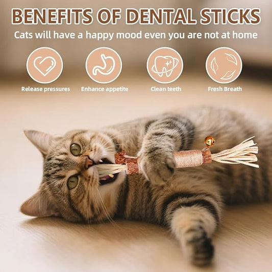 Natural Dried Matatabi Cat Chew Stick with Gall Fruit, Raffia Grass & Bell Cat Ball Toys, Handmade Silvervine Sticks Interactive Catnip Toy for Teething & Entertainment (Size M Color B)