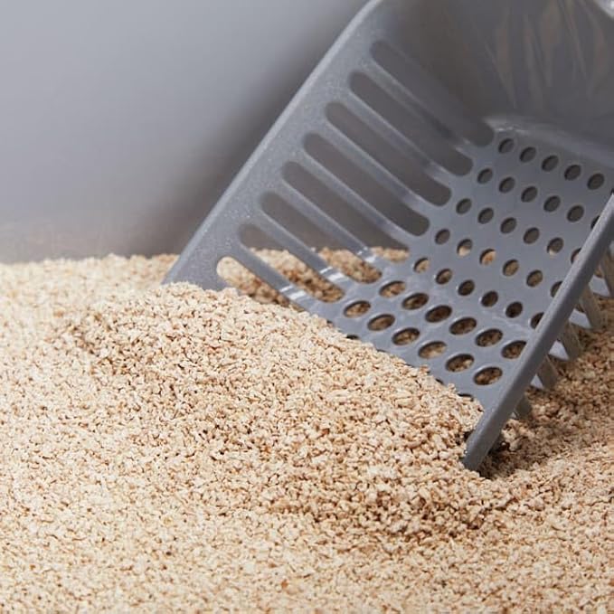 So Phresh Extreme Clumping Unscented Grass Seed Cat Litter 20 lbs.