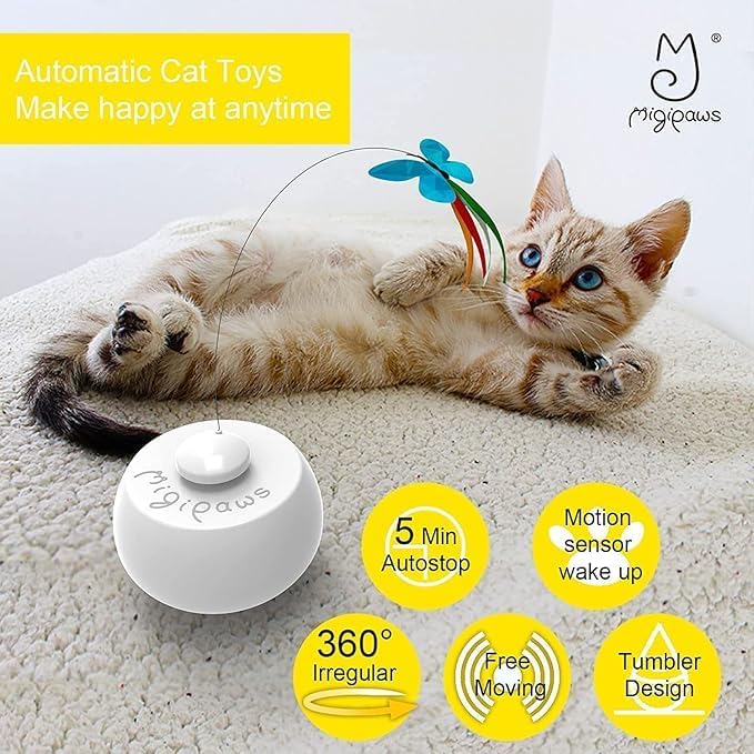 Migipaws Feather+Worm*2+Ribbon+Butterfly Replacement, Butterfly Cat Toy Refills