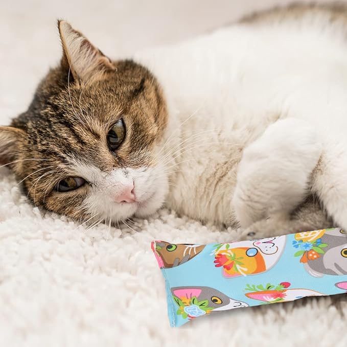 BINGPET 3 Pcs Catnip Toy Cat Kicker Toys, Durable and Bite Resistant Cat Chew Toy, Filled with Natural Catnip, Indoor Kitty Kick Pillow Toy with Cute Printing
