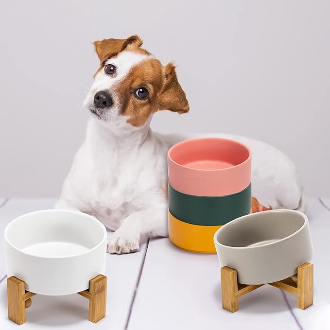SPUNKYJUNKY 15° Slanted Ceramic Dog and Cat Bowl with Wooden Stand, Tilted Bulldog Food and Water Bowl No Slip Non-Spill for Cats Medium Dogs Big Face Pets 28.7 OZ (3.6 Cups,Pink)