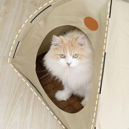 BreezyDen Pop-Up Pet Tent – Portable Indoor/Outdoor Cat Tent, Waterproof Pet Hideaway for Cats & Small Dogs with Mesh Window, Anti-Slip Base & Washable Design (Dark Gray, XL (20 catties Kitten))