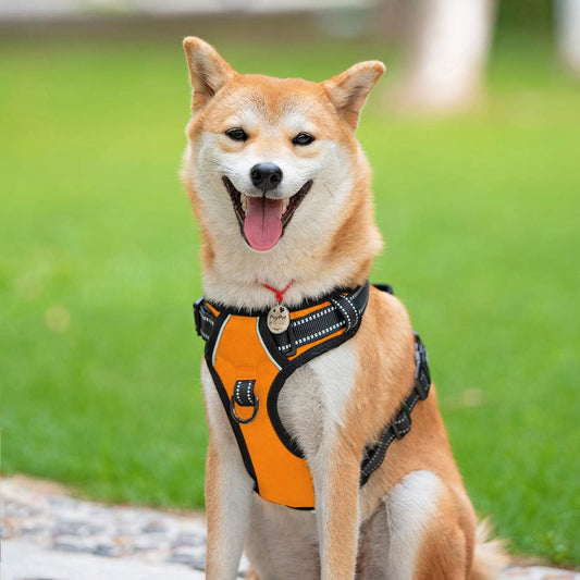 PoyPet No Pull Dog Harness, Reflective Comfortable Vest Harness with Front & Back 2 Leash Attachments and Easy Control Handle Adjustable Soft Padded Pet Vest for Small to Large Dogs (Orange,L)