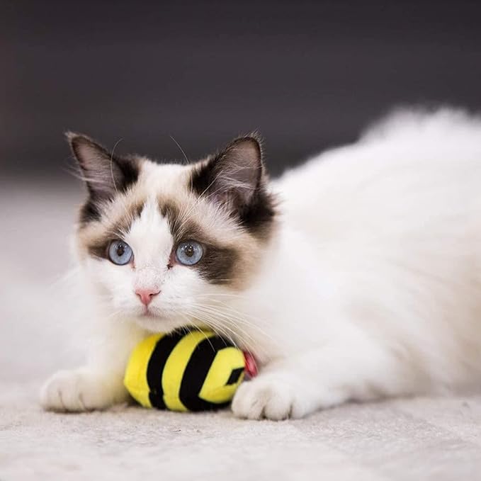 Gigwi Interactive Squeaking Cat Toy,Chirpy Bee Sound Toy for Cats,Melody Chaser Play Squeak Kitten Toys for Boredom