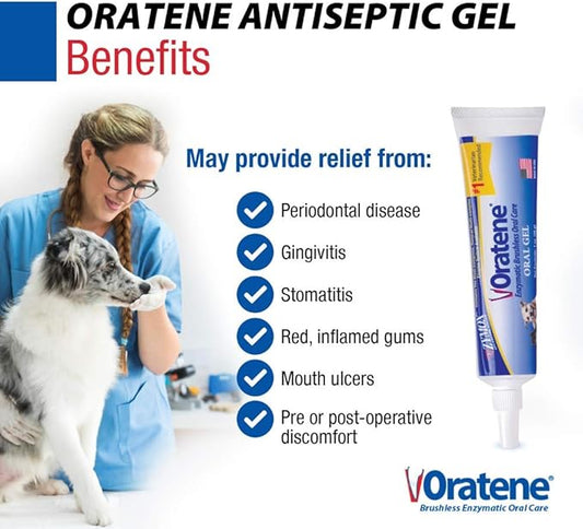 Pet King Brands ZYMOX Oratene Brushless Oral Gel for Dogs and Cats, 1oz
