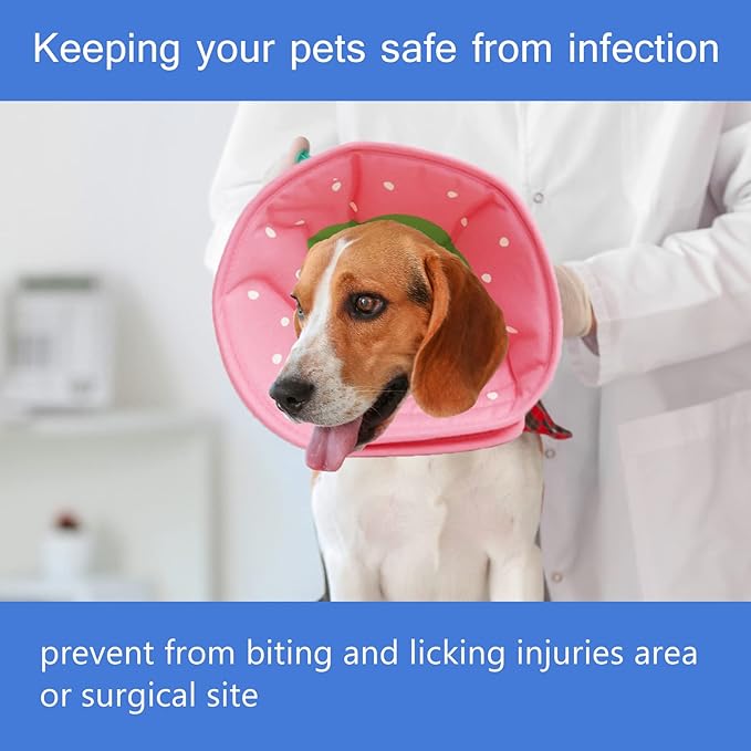 Soft Dog Cone, Lightweight Elizabethan Collar for Dogs, Adjustable Soft Cones for Dogs/Cats to Stop Licking After Surgery, Cute Strawberry Cone of Shame Alternatives for Pets(Small)