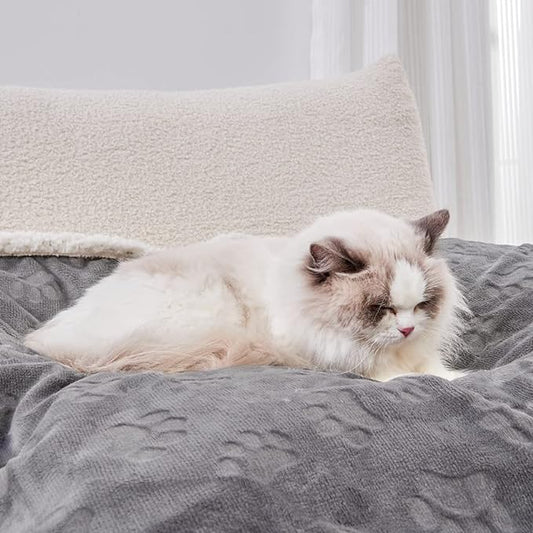 Qeils Dog Blankets for Small Dogs - Waterproof Cat Blanket Washable - Sherpa Fleece Puppy Blanket, Soft Plush Reversible Throw Protector for Bed Couch Car Sofa, 40"X50", Grey