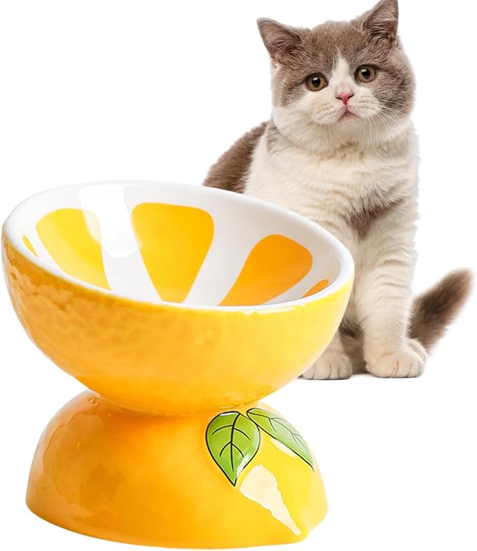 Hamiledyi Ceramic Raised Cat Bowl 5In Elevated Wide Cat Bowl for Food and Water Anti Vomiting Tilted Pet Feeder Dish for Indoor Cats and Small Dogs(Lemon)