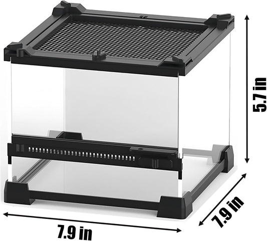 Woyrise Reptile Glass Terrarium Tank 8"x8"x5.7", Front & Top Opening Door Full View Visually Appealing Mini Reptiles or Amphibians Habitat, Stackable Enclousure for Small Reptiles