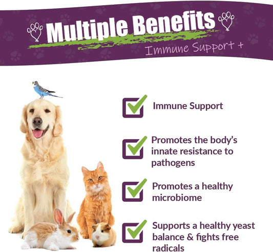 Amber NaturalZ Vibactra Plus Herbal Supplement for Dogs, Cats, Birds, Guinea Pigs, and Rabbits | Herbs for Immune Health and Yeast Balance | 1 Fluid Ounce Glass Bottle