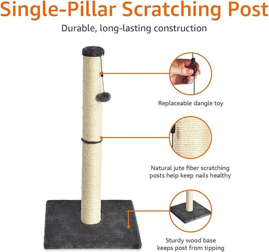 Amazon Basics Cat Scratcher - Indoor Classic Single Cat & Kittens Scratching Post, Medium (31.5"H) - Grey