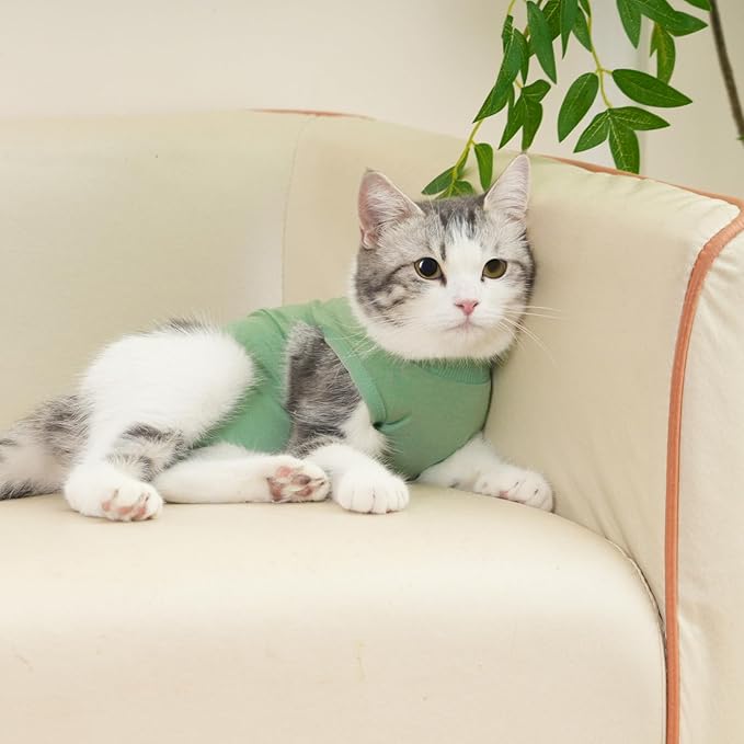 Cat Surgery Recovery Suit Professional for Surgical Abdominal Wound Or Skin Diseases E-Collar Alternative for Cats After Surgery Wear Pajama Suit (Green, Small)