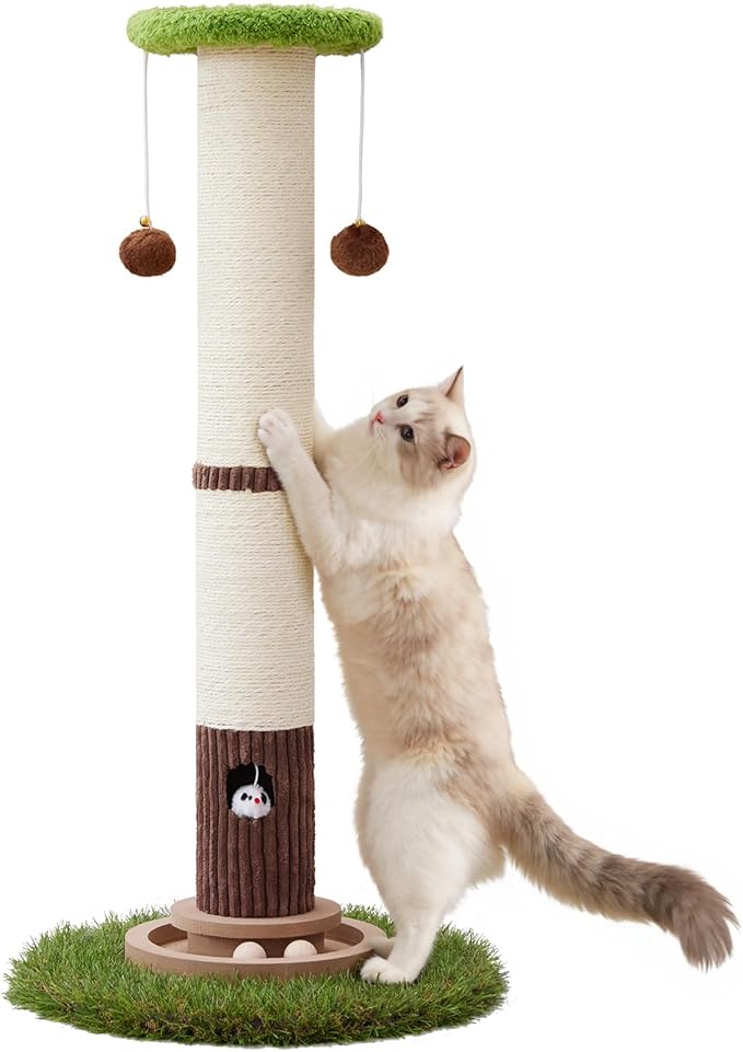 Scratcher Posts for Adults Cats - 33" Tall Cat Scratching Post, Premium Sisal Post for Kittens, Cat Scratcher Tree with Reinforced Stable Base and Interactive Wooden Ball (Green)