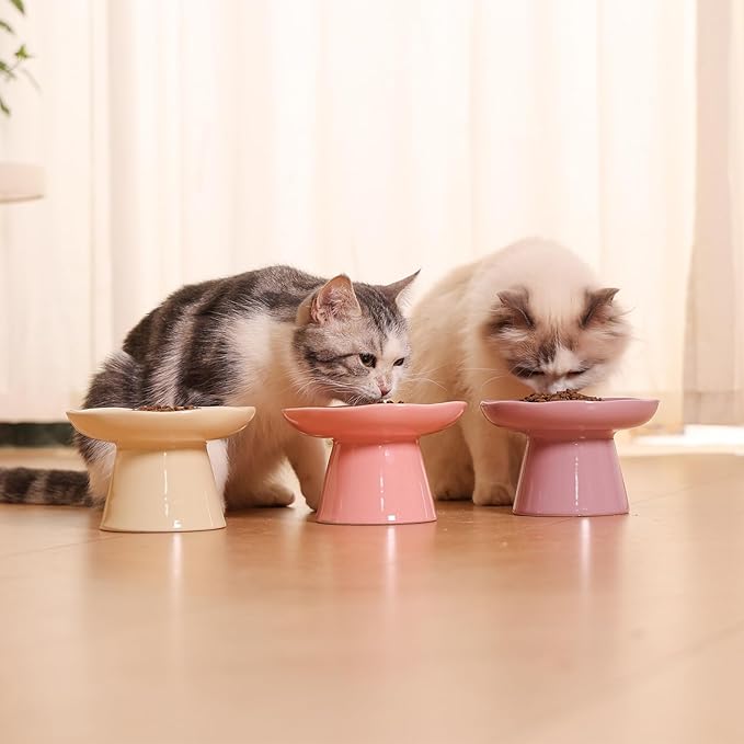 Wide Shallow 6.1" Raised Cat Bowls, Ceramic Elevated Food Plate for Flat Faced Cats and Small Dogs, Porcelain Feeder Bowl, Stress Free, Protect Cat’s Spine, Cream