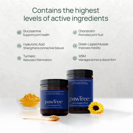 pawTree Joint & Hip Support Supplement for Dogs with Glucosamine, Chondroitin, MSM, Tumeric & Green Lipped Mussels - Vitamins, Supplements & Health Essentials - All-Natural Mobility Soft Chews