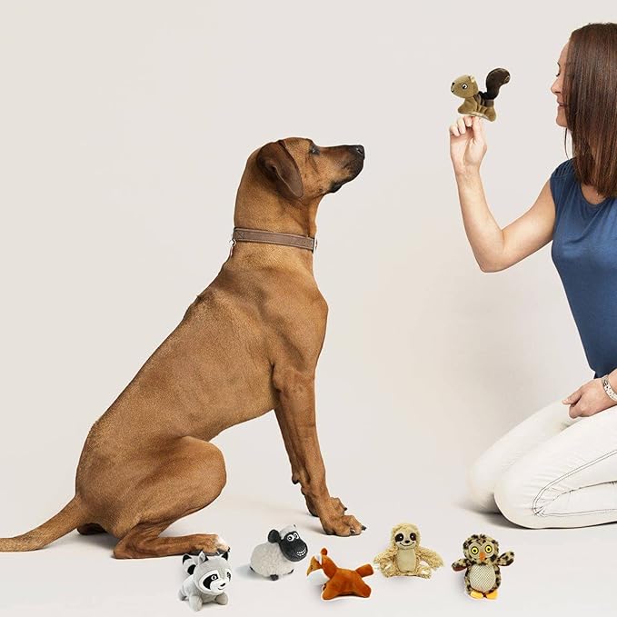 Hide and Seek Dog Puzzle Puppy Toys, Interactive Squeaky Plush, Stuffed Toys for Dogs (Sloth Squirrel Raccoon owl Fox Sheep)