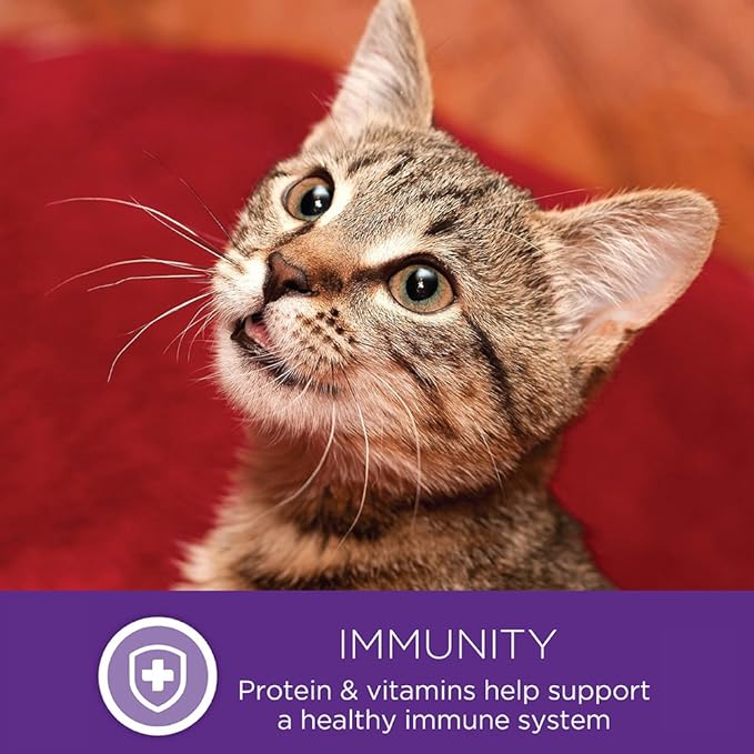 Wellness Healthly Indulgence Morsels Adult Wet Cat Food, Natural, Protein-Rich, Grain Free, 3 Ounce Pouch, 24 Pack, (Chicken & Salmon)