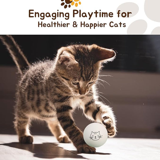 Ping Pong Balls for Cats, 6 Pack, Enrichment Toys, Cat Lovers Gift Ideas, Ball Pits, Bouncy