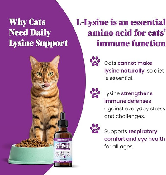 Special Breed L-Lysine for Cats & Kittens – Immune, Respiratory & Eye Health Support – Liquid Cat Supplement with Astragalus, Burdock, Atractylodes, Dangshen & Vitamins A, B1, B2, B6 – 2oz (60mL)