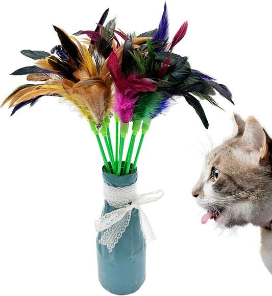 Interactive Cat Wand Feather Toys, 10 Pieces Feathers Stick Cat Toys for Indoor Cats Play