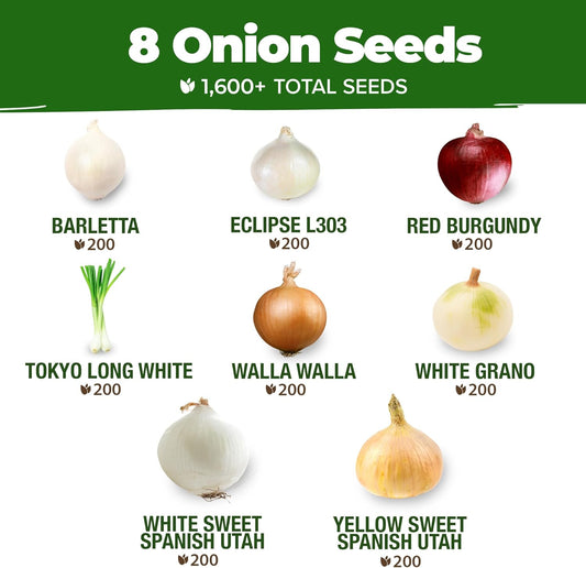 HOME GROWN π¨π¦π π£π₯ππ ππ¨π 8 Onion Seeds for Planting β 1,600 Heirloom π‘π’π‘-ππ π’ Vegetable Seeds β Grow Sweet, Yellow, Red, Spanish, Green & Vidalia Onions in Outdoor or Indoor Home Garden