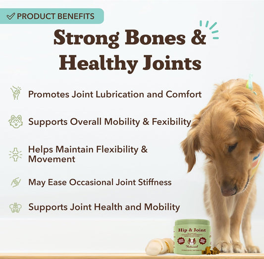 Natural Dog Company Hip & Joint Chews, Chicken Liver & Turmeric Flavor, with Glucosamine Chondroitin for Dogs, Maintains Bone and Joint Health, Supplements for Seniors and Puppies, 90 Count