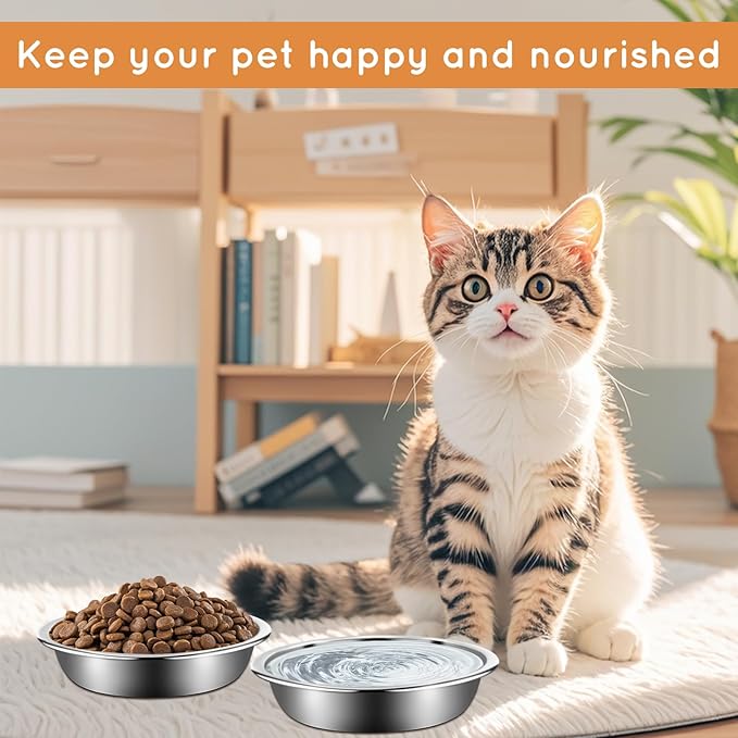 12Pcs Cat Bowls,Stainless Steel Cat Food Bowls,Metal Cat Dishes Whisker Fatigue Relief,Shallow Cat Food Dish for Indoor Kitten,Replacement Basic Cat Plates for Elevated Stand(5.5 Inch)