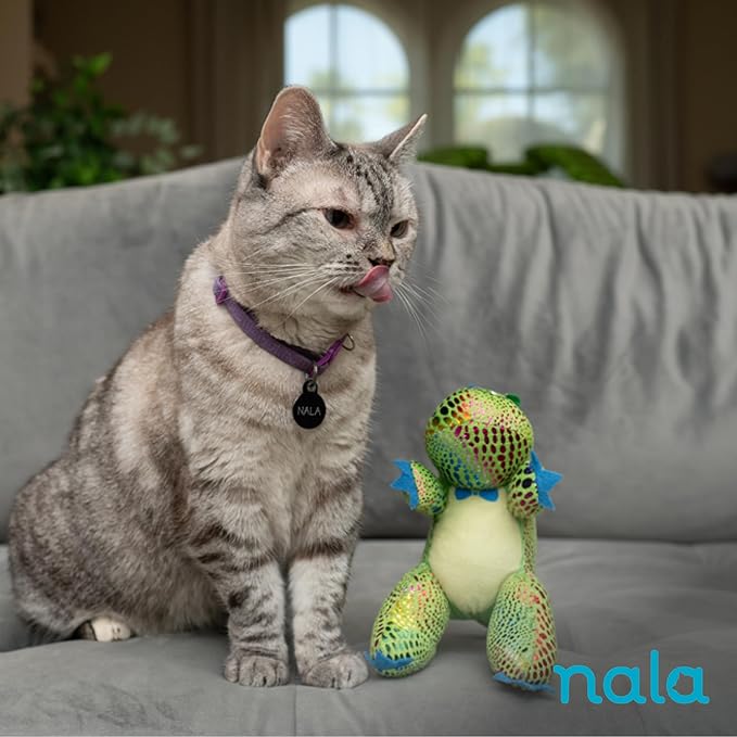 Caitec Presents Nala Cat Tucker The T-Rex Dino - Catnip Toy - Interactive Cat Toy - Chew Toy - Pillow Toy, 2 Pack