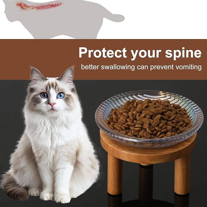 Cat Bowls Whisker Friendly with Wooden Stands. Raised Elevated Glass Whisker Fatigue Cat Bowl for Indoor Cats. 2PCS (Rainbow Colors)