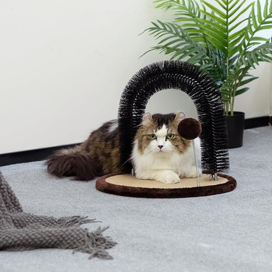 Hollypet Cat Hair Brush Toy with Sturdy Scratcher Pad, Arch Groomer Massager, Self Grooming Massaging for Indoor Kitten and Small Dog, Gray