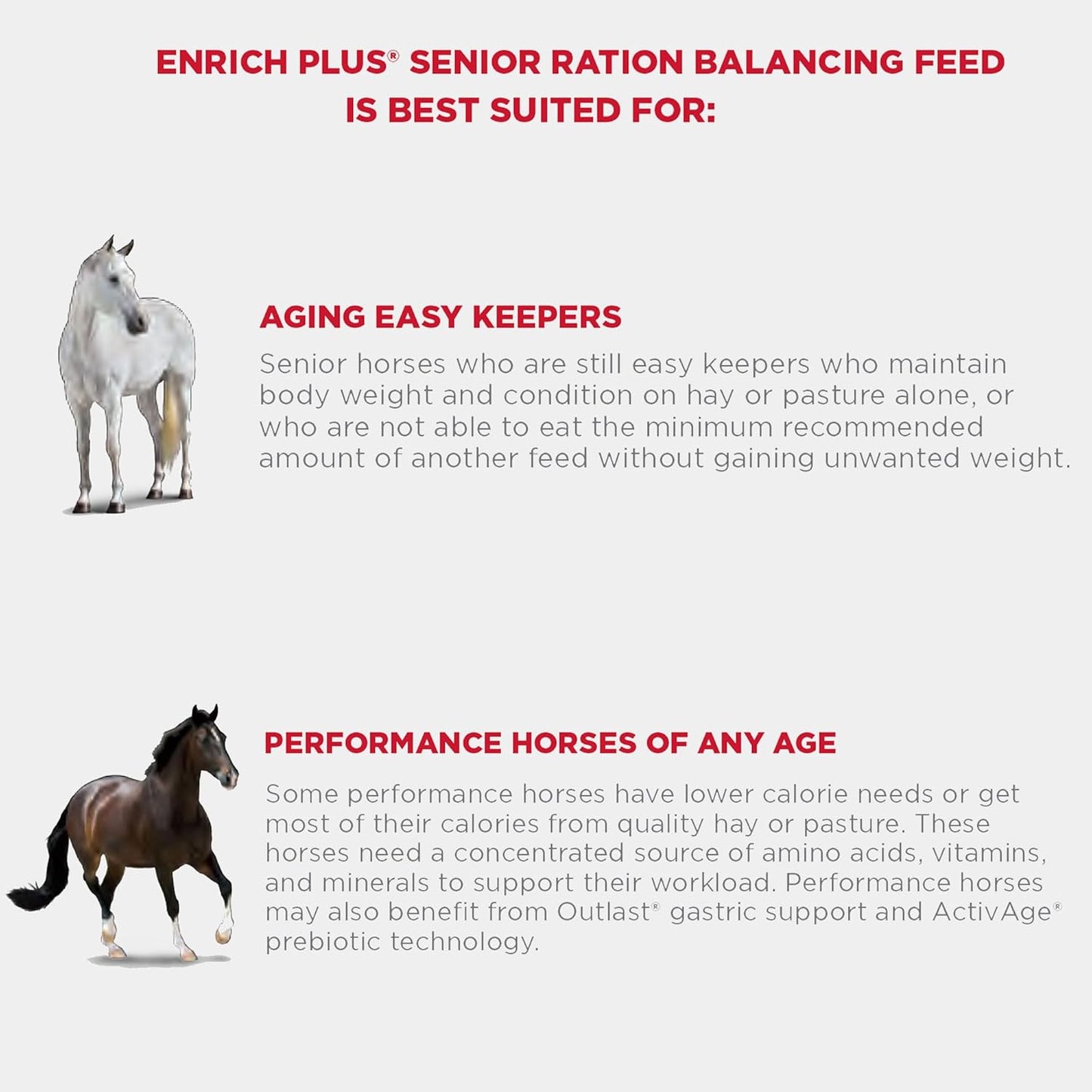 Purina | Enrich Plus Senior Ration Balancing Horse Feed | 50 Pound (50 LB) Bag