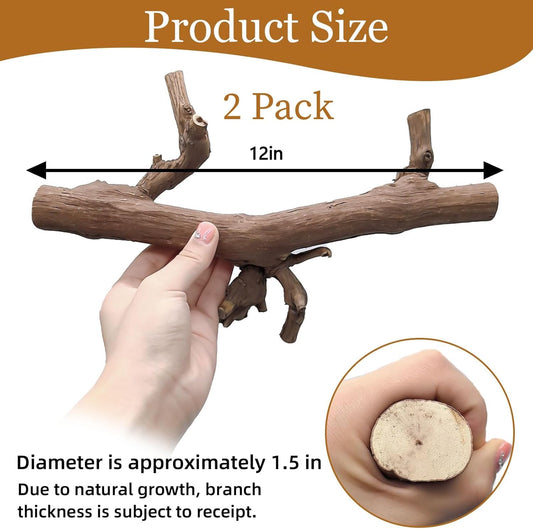 kathson 2PCS Snake Climbing Branch,Reptile Wood Branches Decor, Lizard Natural Wood Climb Accessories,Reptiles Habitat Tank Tree Trunk Decorations for Bearded Dragon Geckos Chameleons Frog