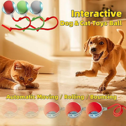 Interactive Dog Cat Toy Ball, Automatic Moving Bouncing Rolling, with Replacement Tail, Pet Smart Chase Ball Rechargeable, Enrichment Toys for Bored Indoor Adult Cats/Dogs (Grey)