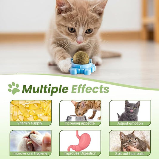 Catnip Toys 4 Pack Catnip Balls Catnip Wall Ball 360° Rotatable Chewing Teeth Cleaning Edible Cat Interactive Toys Indoor Play with Cats Wall Anxiety Relief Cat Chew Ball