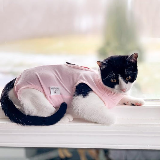 DOTON Cat Recovery Suit for Male and Female Surgical Post Surgery Soft Cone Onesie Shirt Clothes Neuter Licking Protective Diapers Outfit Cover Kitten Spay Collar(M, Pink)