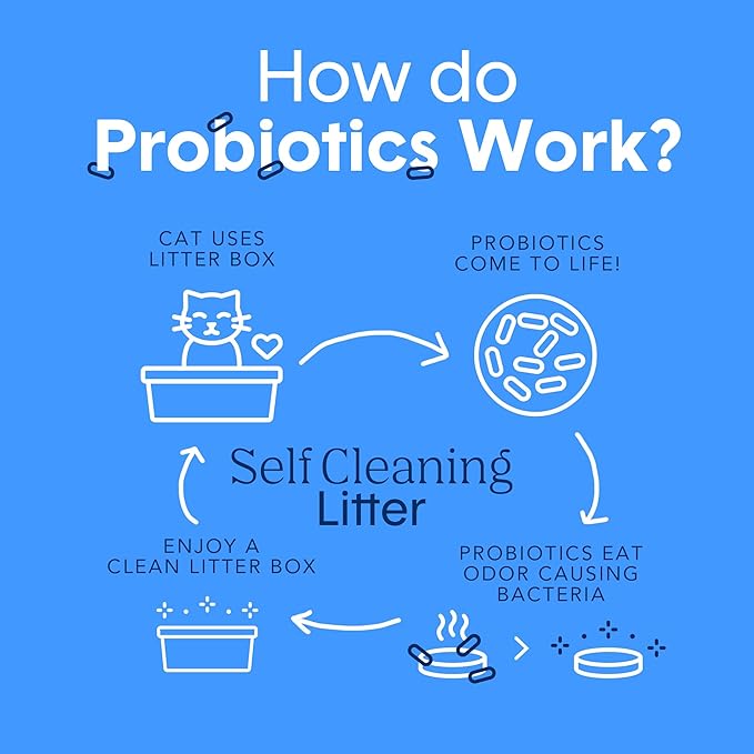 Boxie® Probiotic 40 Day Natural Odor Control Cat Litter, 28lb Clumping Clay Kitty Litter