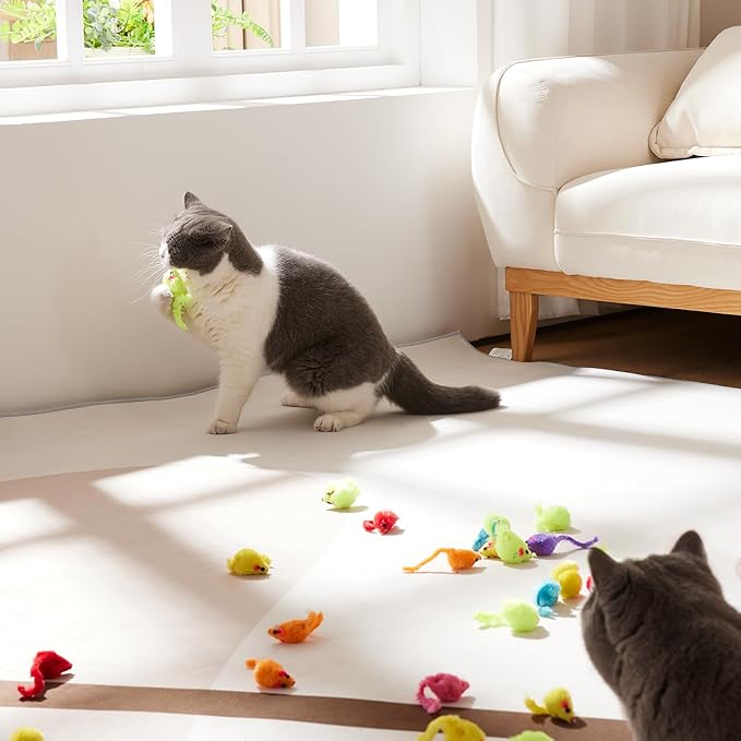 Yangbaga Mice Rattle 14 Pack, Cat Toys Rainbow Mice for Cats and Kittens (62pcs Rainbow mices)